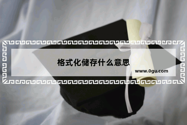 格式化储存什么意思