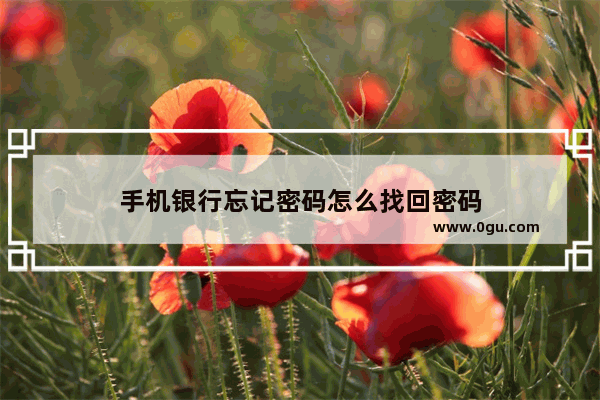 手机银行忘记密码怎么找回密码