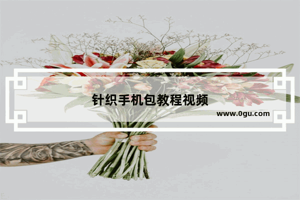 针织手机包教程视频