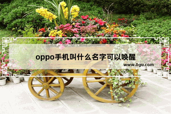 oppo手机叫什么名字可以唤醒