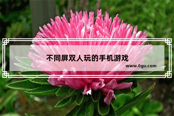 不同屏双人玩的手机游戏
