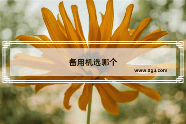 备用机选哪个