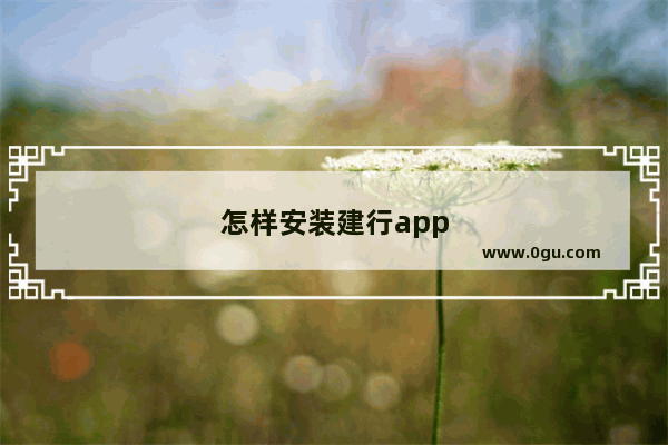 怎样安装建行app