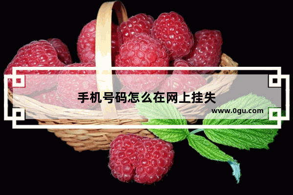 手机号码怎么在网上挂失