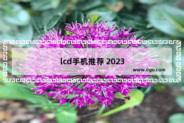 lcd手机推荐 2023