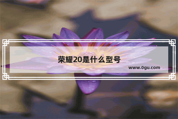 荣耀20是什么型号