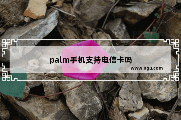palm手机支持电信卡吗