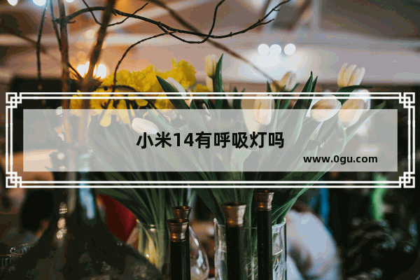 小米14有呼吸灯吗