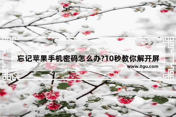 忘记苹果手机密码怎么办?10秒教你解开屏幕锁