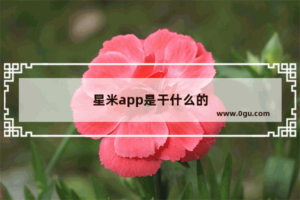 星米app是干什么的