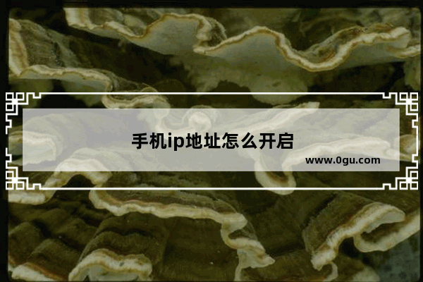 手机ip地址怎么开启