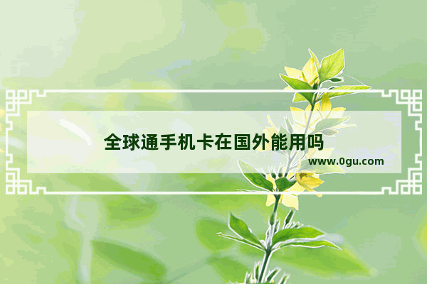 全球通手机卡在国外能用吗