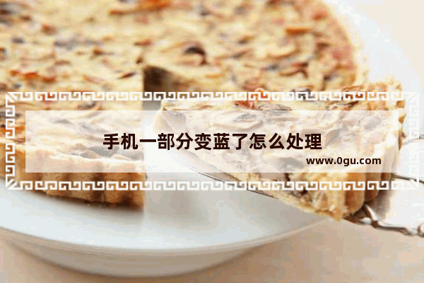 手机一部分变蓝了怎么处理