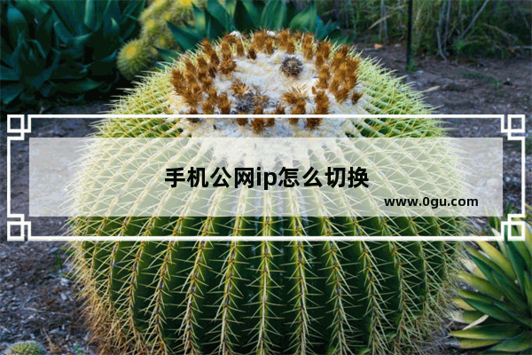 手机公网ip怎么切换