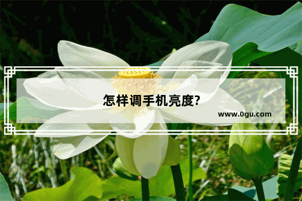 怎样调手机亮度?