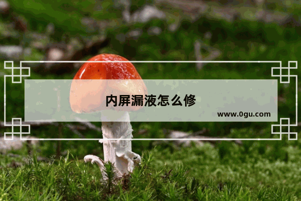 内屏漏液怎么修