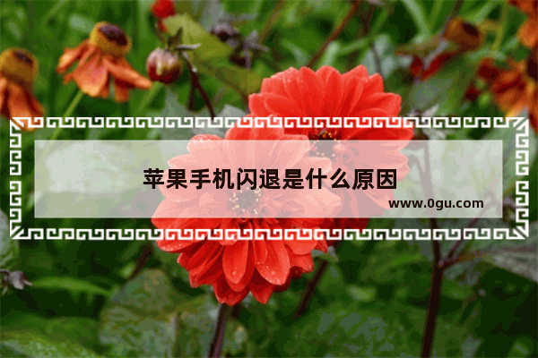 苹果手机闪退是什么原因