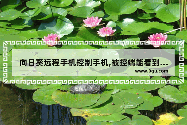 向日葵远程手机控制手机,被控端能看到微信聊天记录吗