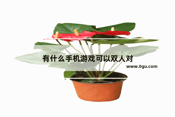有什么手机游戏可以双人对