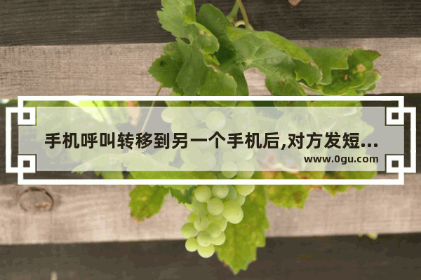 手机呼叫转移到另一个手机后,对方发短信还能收到吗