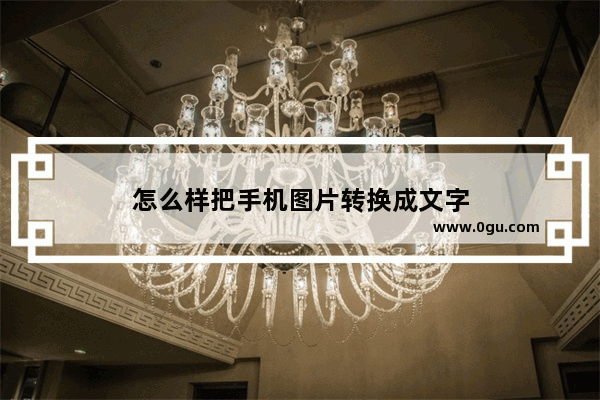 怎么样把手机图片转换成文字
