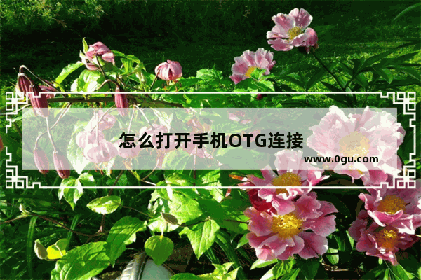 怎么打开手机OTG连接