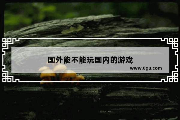 国外能不能玩国内的游戏