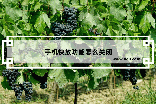 手机快放功能怎么关闭