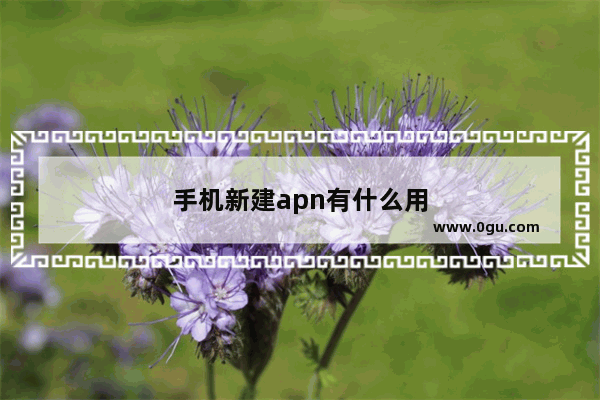 手机新建apn有什么用