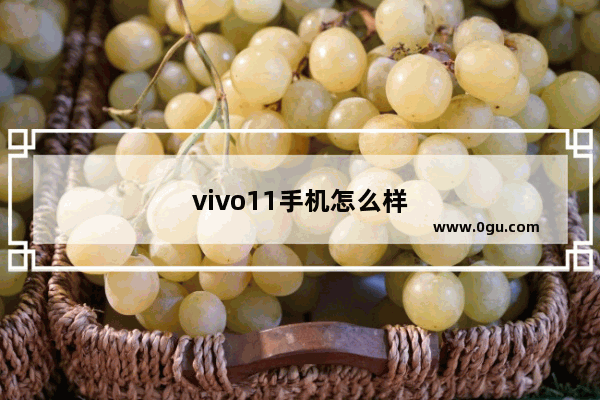vivo11手机怎么样