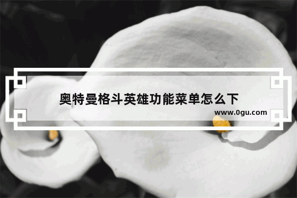 奥特曼格斗英雄功能菜单怎么下