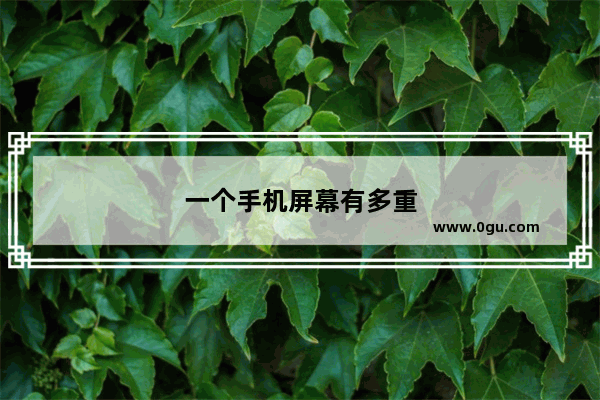 一个手机屏幕有多重
