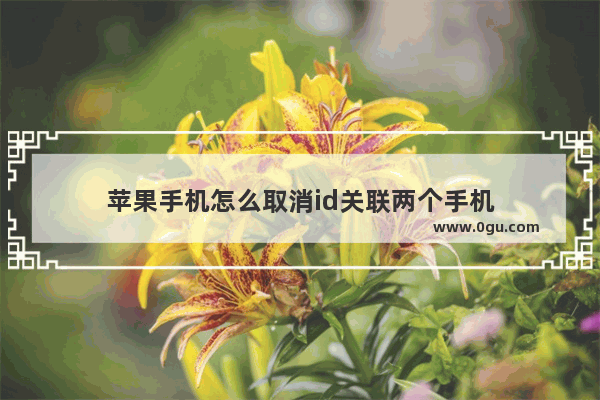 苹果手机怎么取消id关联两个手机