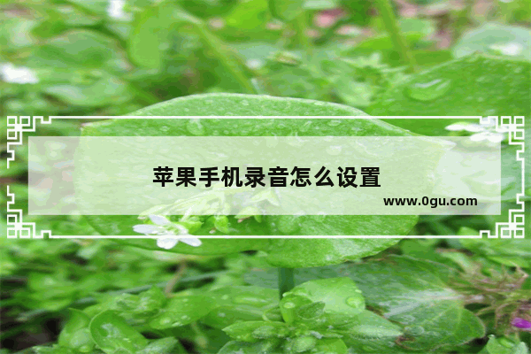 苹果手机录音怎么设置