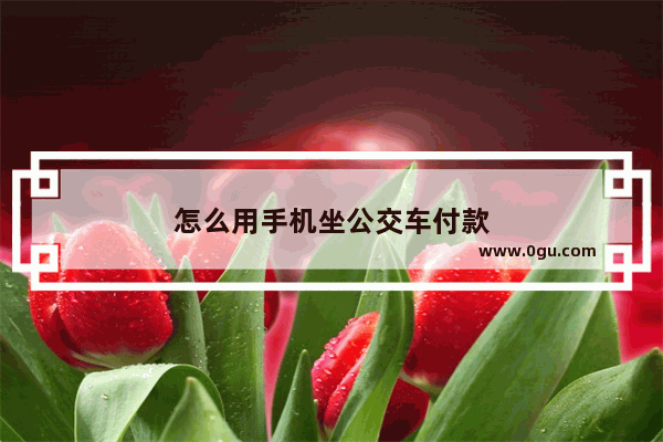 怎么用手机坐公交车付款