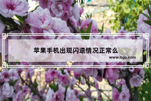 苹果手机出现闪退情况正常么