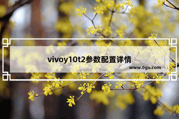 vivoy10t2参数配置详情