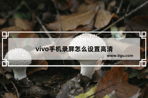 vivo手机录屏怎么设置高清