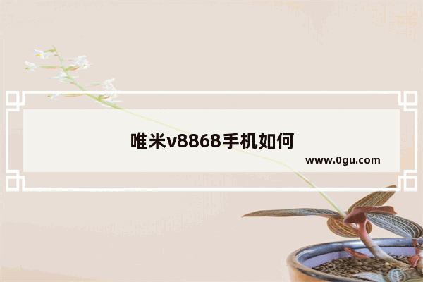 唯米v8868手机如何