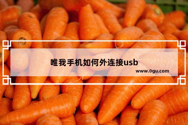 唯我手机如何外连接usb