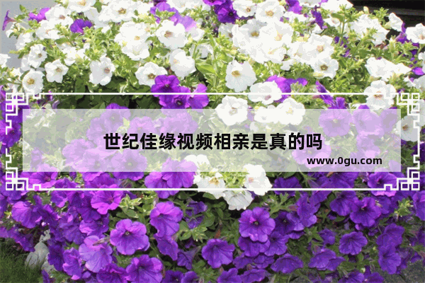 世纪佳缘视频相亲是真的吗