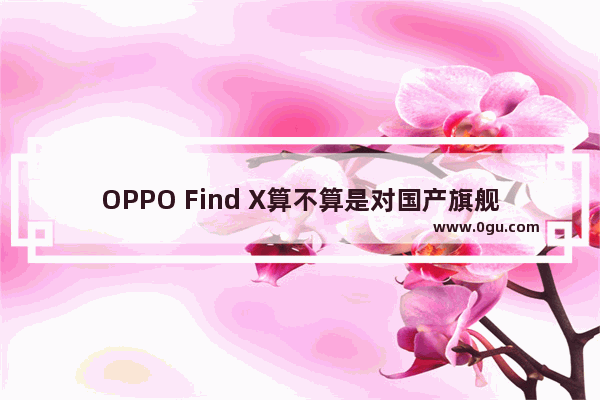 OPPO Find X算不算是对国产旗舰机进行重新定义