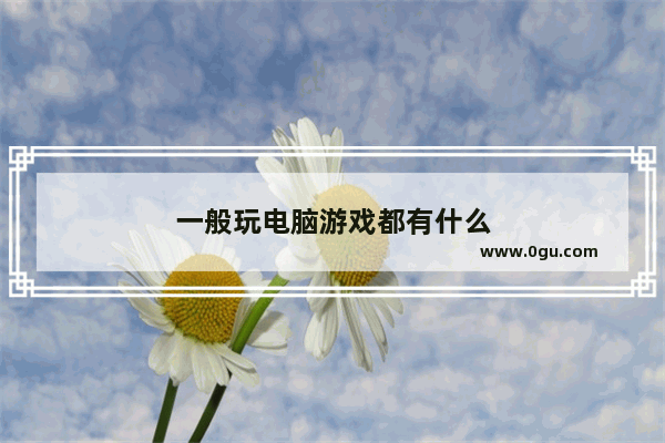 一般玩电脑游戏都有什么