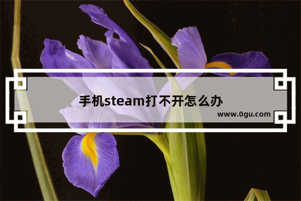 手机steam打不开怎么办