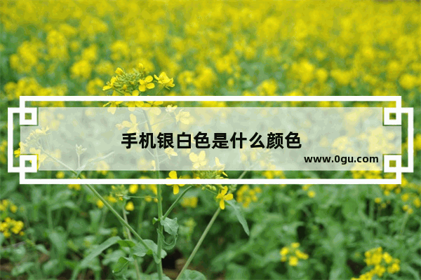 手机银白色是什么颜色