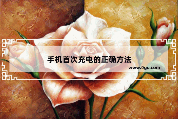 手机首次充电的正确方法