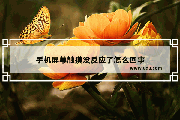 手机屏幕触摸没反应了怎么回事