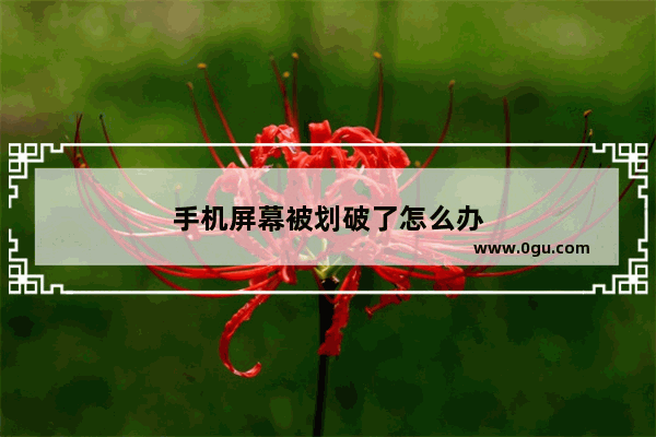 手机屏幕被划破了怎么办