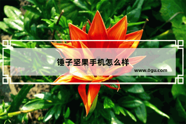 锤子坚果手机怎么样