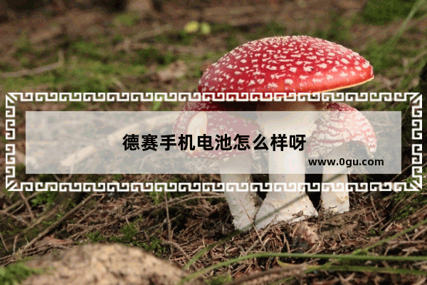 德赛手机电池怎么样呀